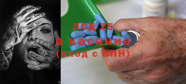 шишки Алексин