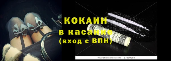 шишки Алексин