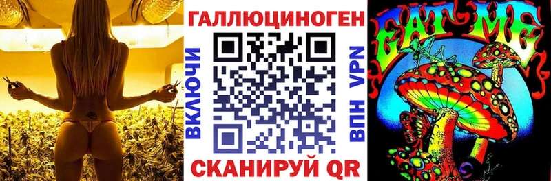 Псилоцибиновые грибы Psilocybe  кракен как зайти  Пенза 
